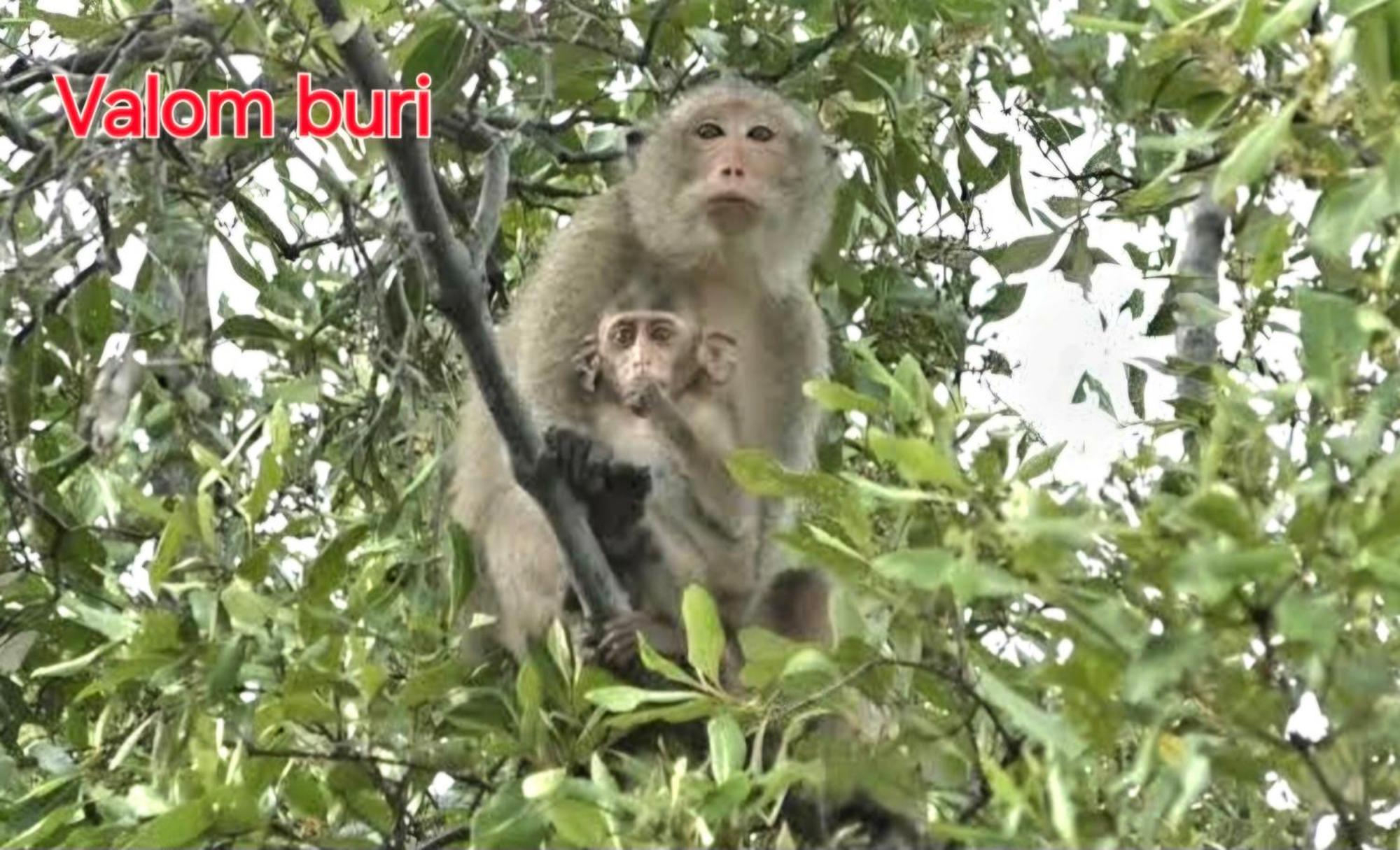 Lanta Valom Buri Villa Ko Lanta Dış mekan fotoğraf